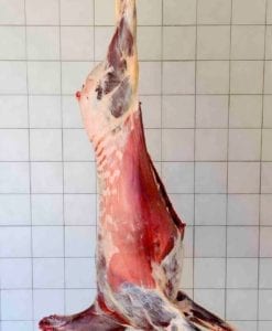 Slakt av hjort eller dåhjort