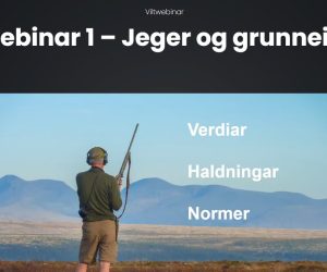 Foredrag og streaming fra Viltwebinar 2021