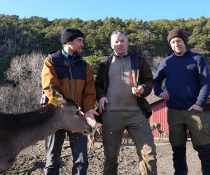 Fra venstre forsker Pierre Dupont NMBU, professor Stein Joar Hegland HVL (styreleder SNH) og professor Richard Bischof NMBU