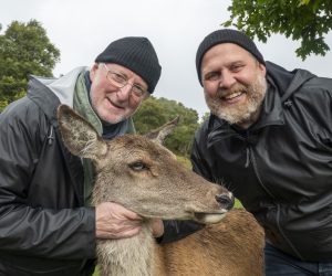 Slik lager du rettene fra Truls á la Hellstrøm på TV2