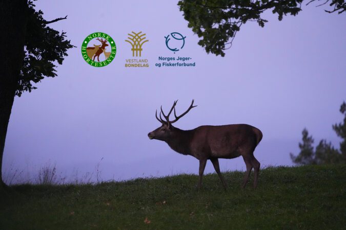 Viltseminaret 2026 vert 6-7. februar på Voss